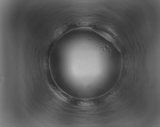 X0000067910455200604201409