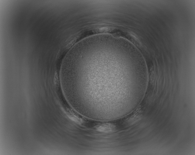 X0000067910459200604201409