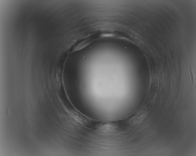 X0000067910460200604201409