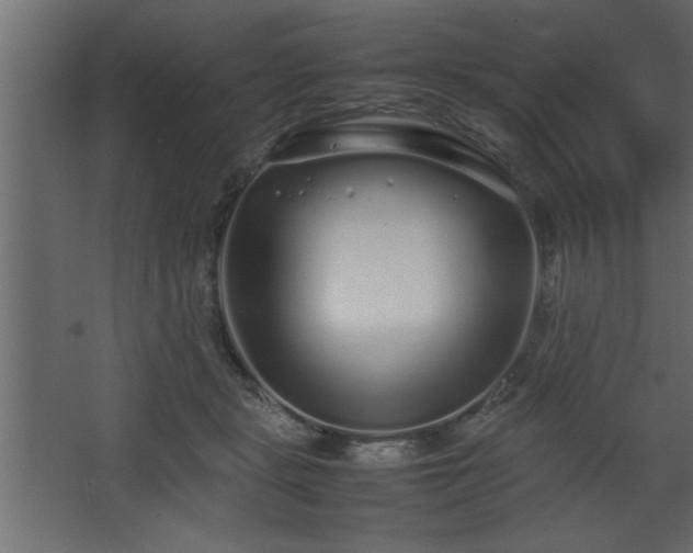 X0000067910461200604201409