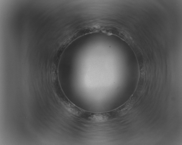 X0000067910464200604201409