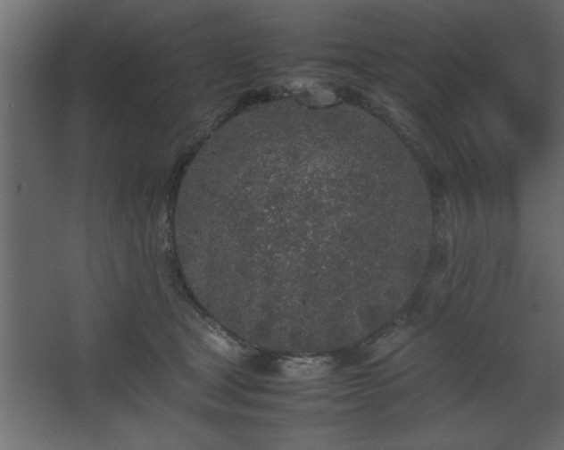 X0000067910465200604201409