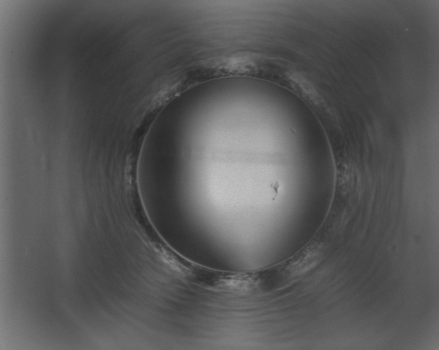 X0000067910466200604201409