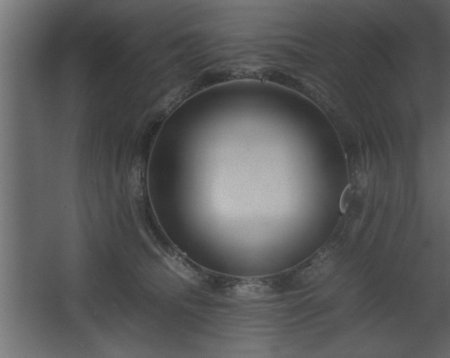 X0000067910468200604201409