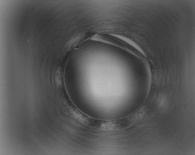 X0000067910470200604201409