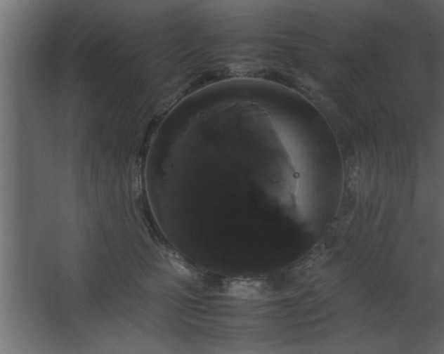 X0000067910471200604201409