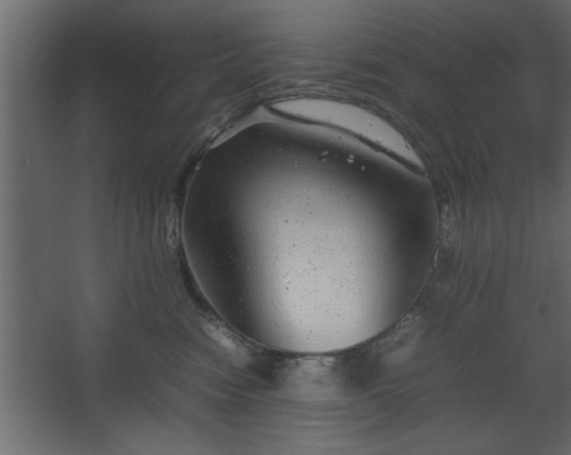 X0000067910474200604201409