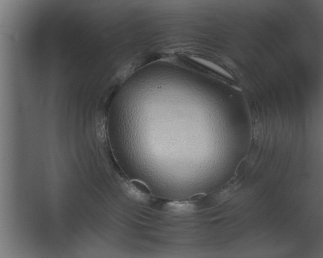 X0000067910477200604201409