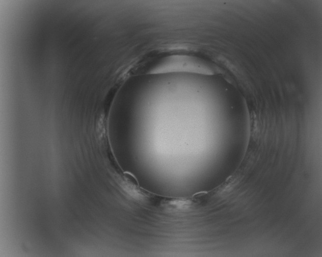 X0000067910478200604201409