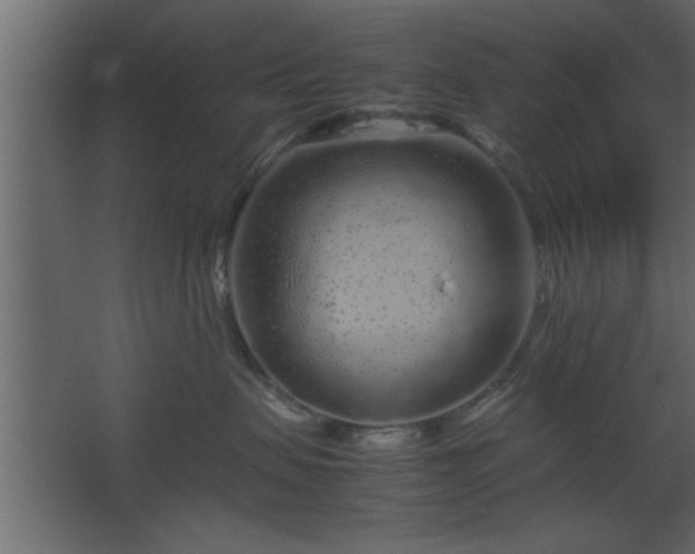 X0000067910479200604201409