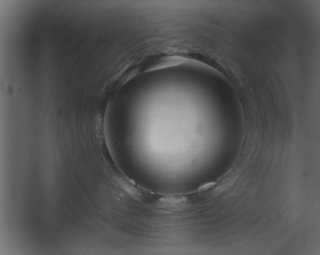 X0000067910480200604201409