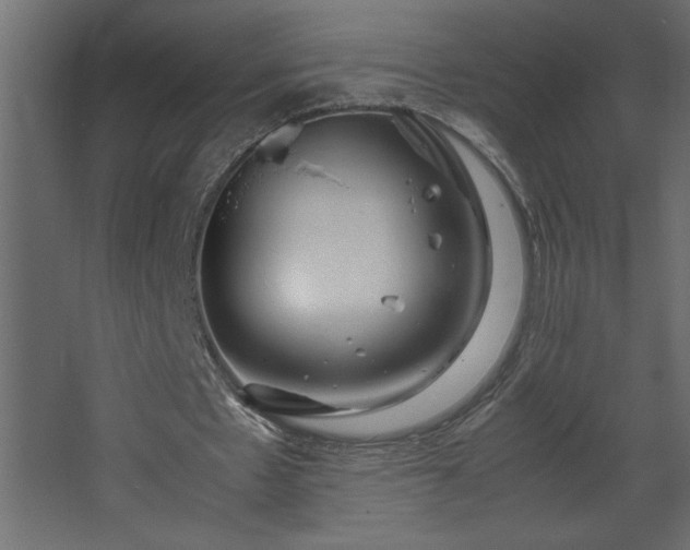 X0000067910481200604201408