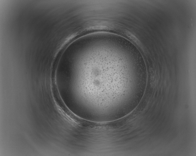 X0000067910482200604201408