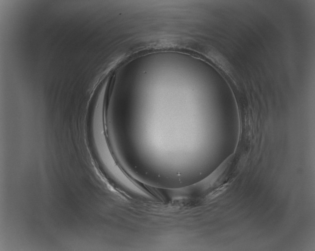 X0000067910485200604201408