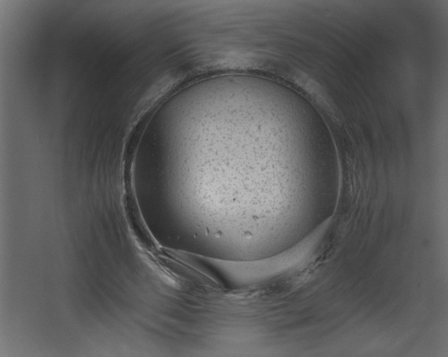 X0000067910486200604201408