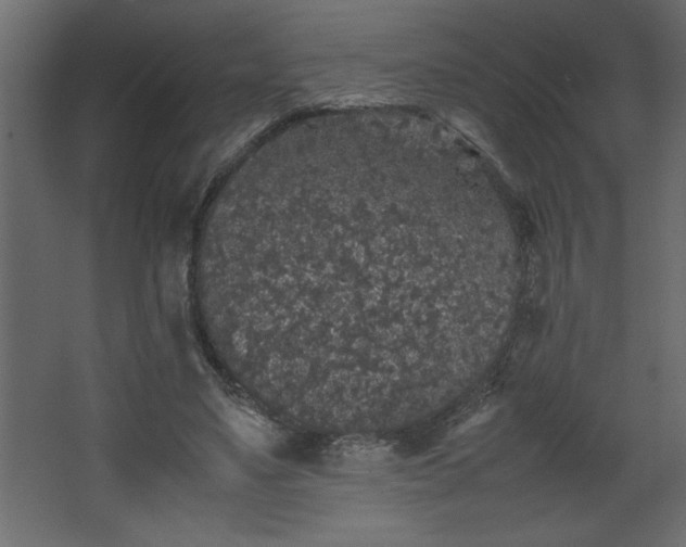 X0000067910491200604201408