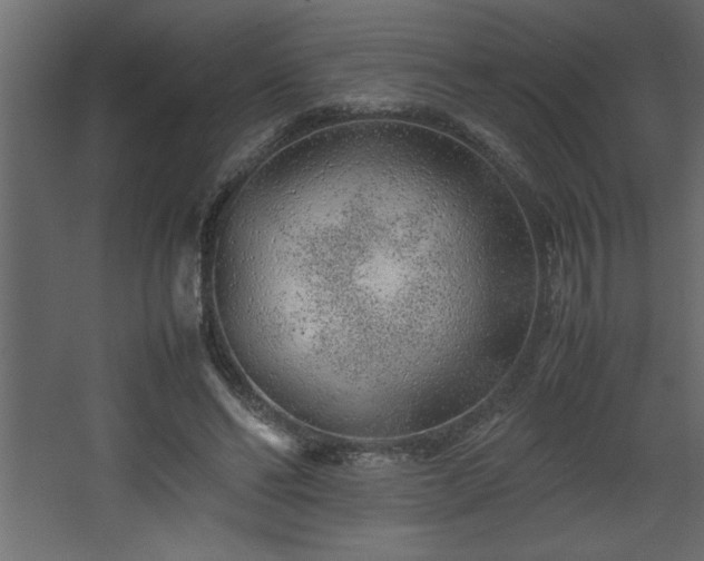 X0000067910494200604201408