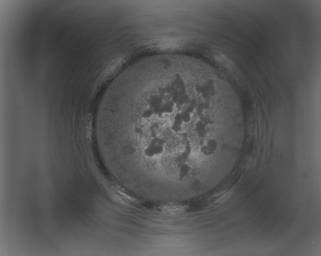 X0000067910495200604201408