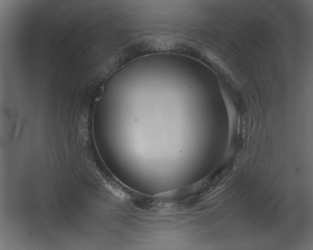 X0000067910497200604201408