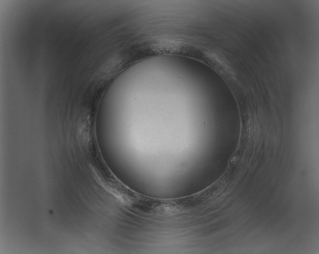 X0000067910498200604201408