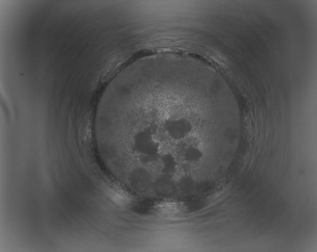 X0000067910499200604201408