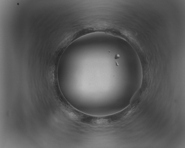 X0000067910501200604201408