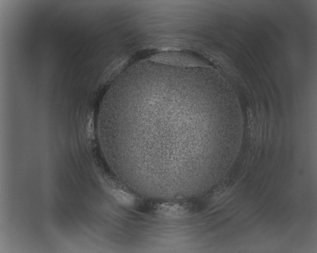 X0000067910502200604201408