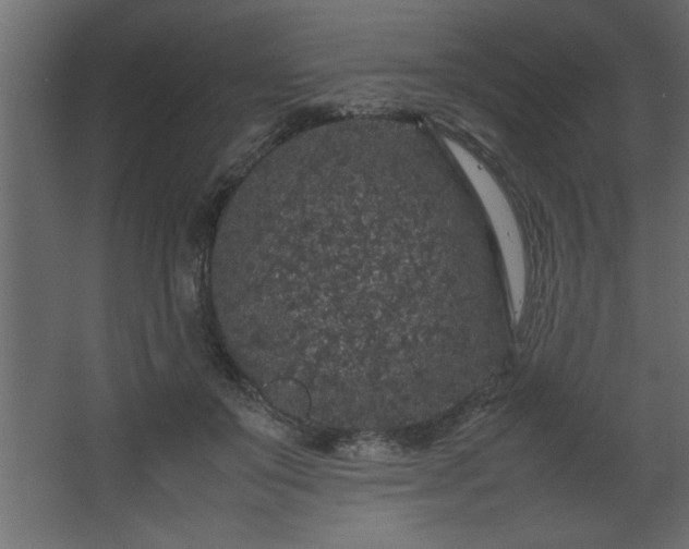 X0000067910503200604201408