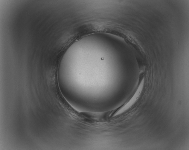 X0000067910505200604201408