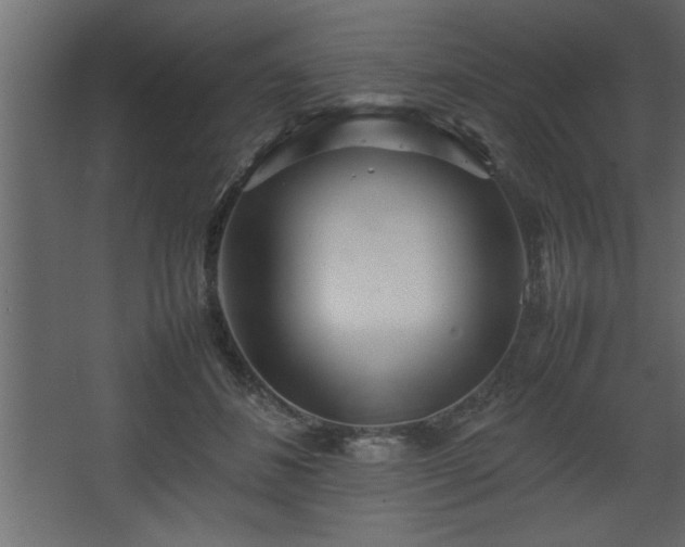 X0000067910508200604201408