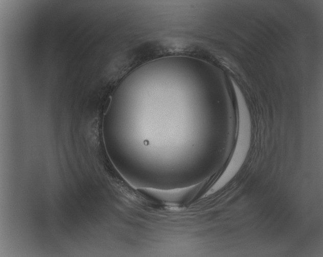 X0000067910509200604201408