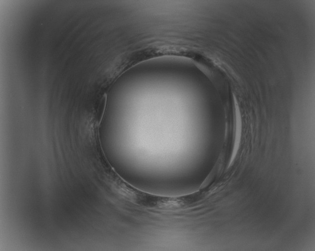 X0000067910513200604201408