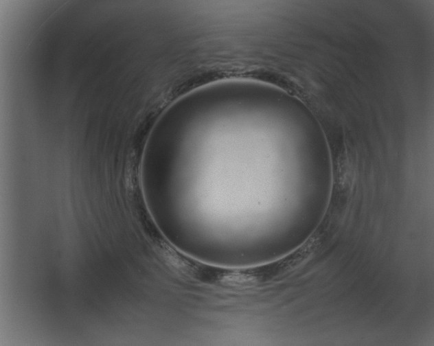 X0000067910515200604201408