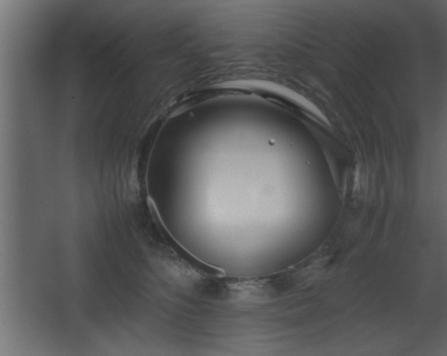 X0000067910516200604201408