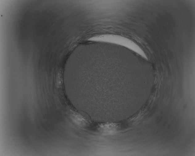 X0000067910517200604201408