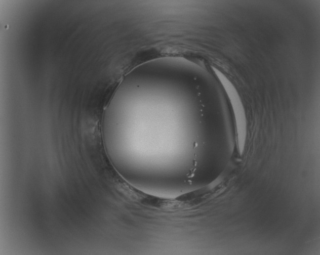 X0000067910521200604201408