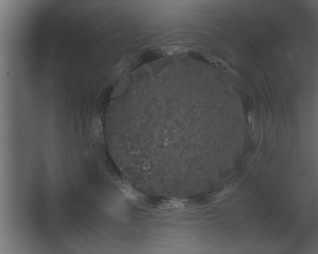 X0000067910523200604201408