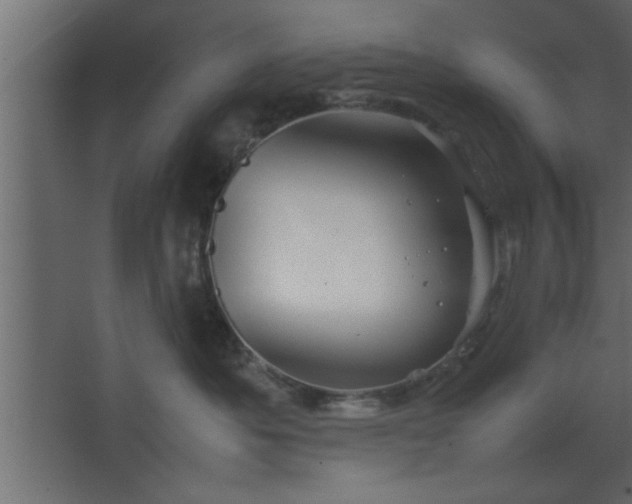 X0000067910525200604201408