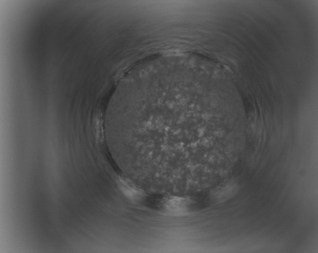 X0000067910527200604201408