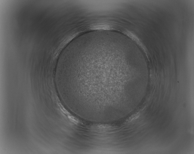 X0000067910529200604201407