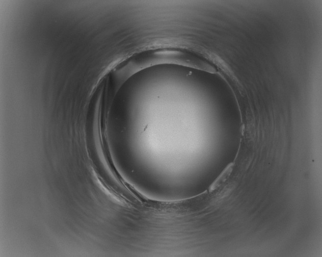 X0000067910530200604201407