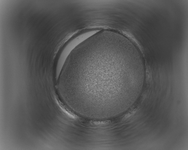 X0000067910533200604201407