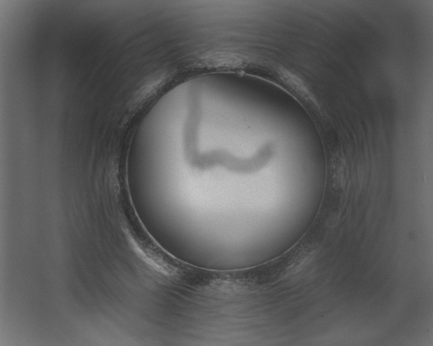 X0000067910538200604201407