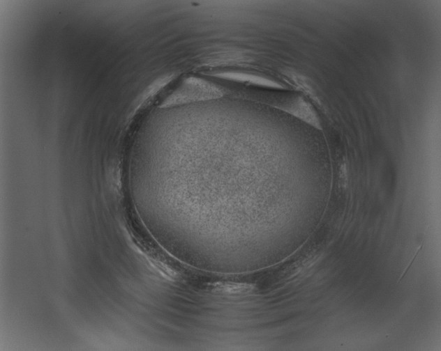 X0000067910539200604201407