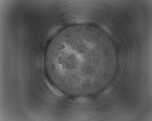 X0000067910542200604201407