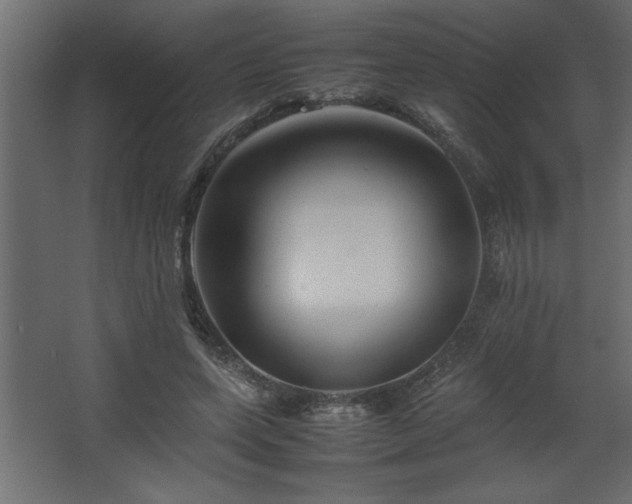 X0000067910543200604201407