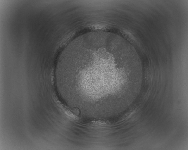 X0000067910545200604201407