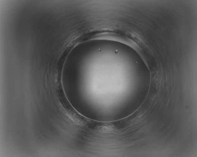 X0000067910548200604201407