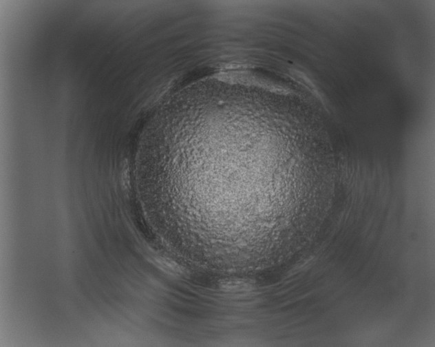 X0000067910549200604201407