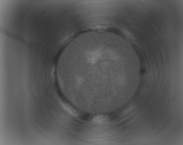 X0000067910550200604201407